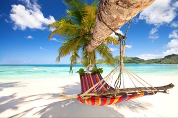 Saona Island Day Trip From Punta Cana with Pick Up and Open Bar 