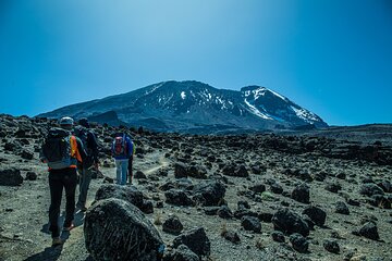 6 Day Private Machame Route Tour with Kilimanjaro Climbing