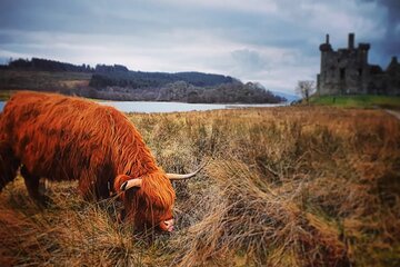 Full Day Private Tour in West Highlands, Oban and Glencoe 