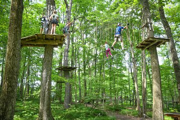 Aerial Adventure Park Admission