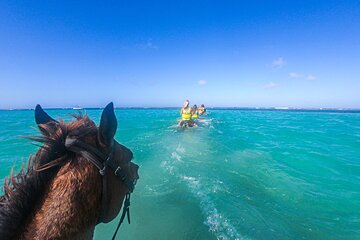 Horseback Riding and River Tubing Combo from Montego Bay