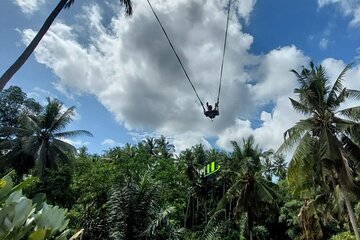 Private Full-Day Tour with Bali Swing and Water Rafting in Ubud