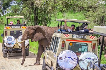 3 Days Private Taste of Tanzania Wilderness Safari-Camping Safari