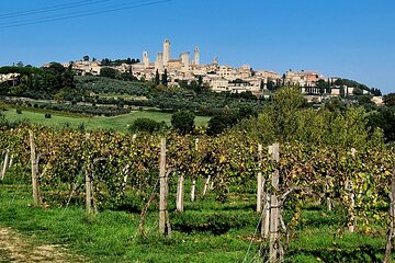 San Gimignano and Siena Private Wine Tasting Tour with Lunch