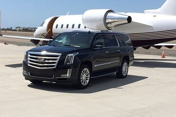 Santa Monica to Los Angeles Airport Departure Private Transfer