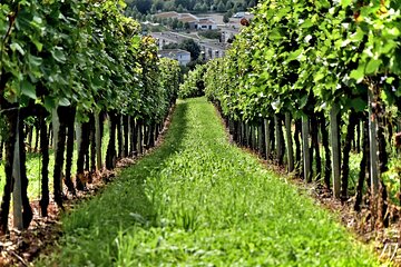 Crete Wine Discovery Tour: Exploring Culture, Traditions, Flavors