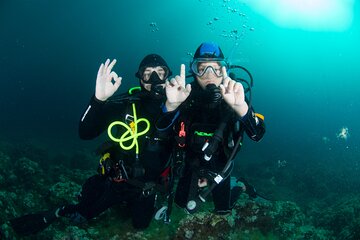 Discover Scuba Diving PADI - Trial dive in Sorrento