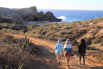 Sunrise Guided Desert Hike in Los Cabos