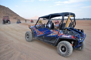 Super Safari in Sinai Desert "Bedouin Dinner, Camel & Show"