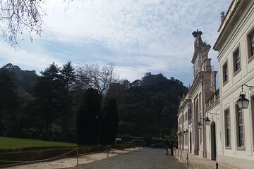 Transfer & Micro Tour of Porto - From Lisbon & Vice versa