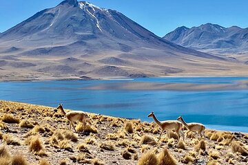 Private Tour: Piedras Rojas, in San Pedro de Atacama