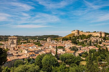 Full-day Avignon Private Tour with Wine Tasting from Marseille