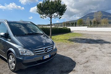 Transfer to Naples with a stop in Pompeii from Positano