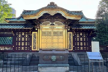 Private tour in Tokyo with a Local Guide (walking/trains)