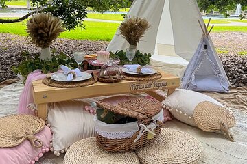 Themed Luxury Picnic