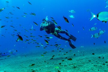 Scuba Diving Experience from Plakias