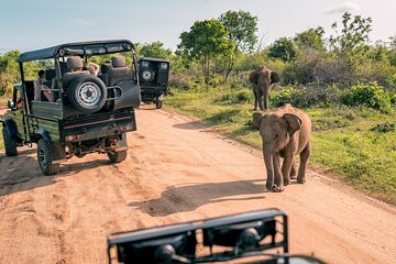 Sri Lanka Private Holiday Round Tour with Driver & Vehicle