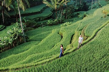 Private Tour Top Sights of Bali in One Day