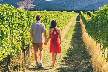 From San Francisco: Napa/Sonoma Wine Tour & 2-Day Hop-on Hop-off