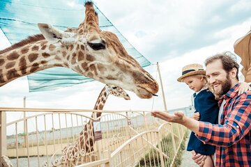 Skip-the-line Hellabrunn Zoo in Munich with Transfers