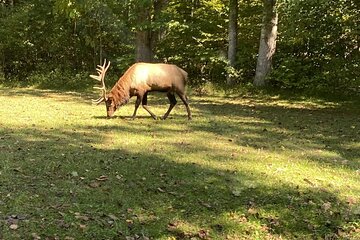 Over the Top Tour in Oconaluftee