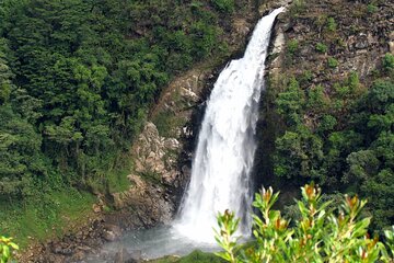 Private Nature Escape to La Ceja Waterfall Adventure