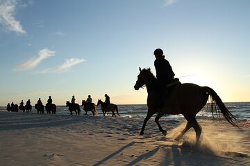 2 hours Horse Riding Excursion near the Beach in Alcúdia bay