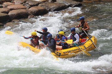 Durango "4.5 Half-Day" Rafting Trip Down the Animas River