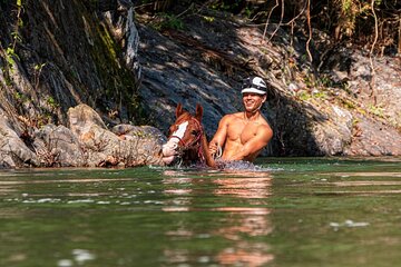 Horse Tour