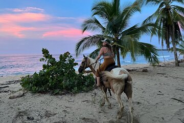 2 Hour Beach Horse Back Riding in Puerto Viejo