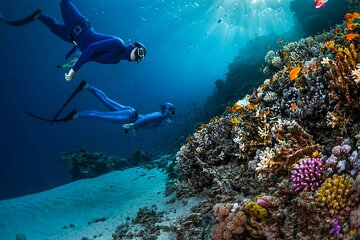 Full day Hamata island snorkelling experience in Marsa Alam