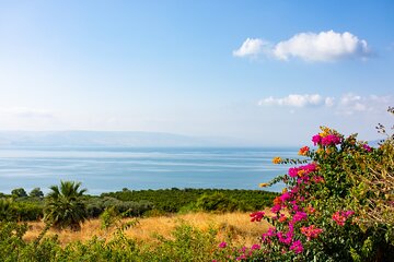 Galilee Full Day Tour from Jerusalem