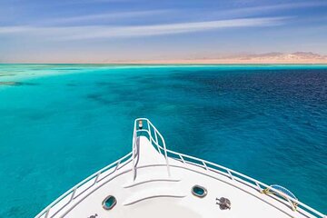 Swim With Dolphins at Sataya Reef from Marsa Alam 