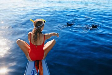 Discover Mauritius: Dolphin Watch, Snorkeling, BBQ Lunch