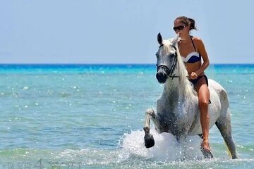 2 Hours Horse Riding with Transfer from Hurghada 