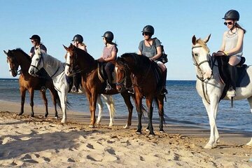 2-Hour Horse Carriage Riding Adventure in Hurghada 