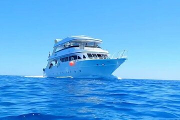 Full Day Hula Hula island Snorkeling Sea Trip & Lunch _ Hurghada 