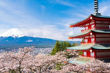 Mount Fuji Panoramic View & Shopping Day Tour