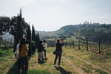 Private Tour from Florence to Pisa Siena S Gimignano and Chianti