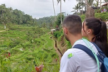 Full Day Mount Batur Sacred Monkey Forest Tour in Bali Island 