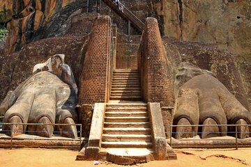 All-inclusive Day Tour of Sigiriya & Dambulla from Colombo