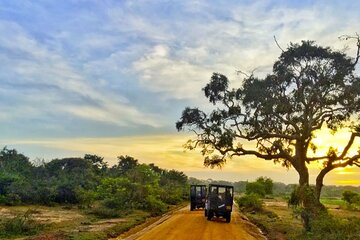 Yala National Park Private Jeep Safari From Colombo & Negombo