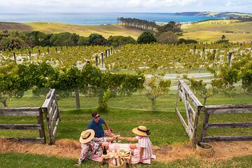 Gourmet Mystery Picnic Experience in Matakana