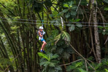 Guided Zipline and Island Gully Falls at White River 