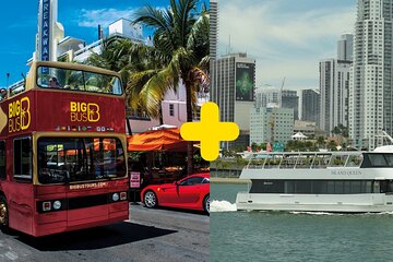 Miami Half Day: Millionaire's Row Bay Cruise & Open-top Bus Tour