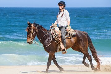 1 Hour Horse Back Riding on the Beach From Sharm El Sheikh