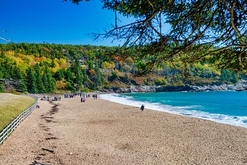 Acadia's Ocean Path Self-Guided Walking Audio Tour