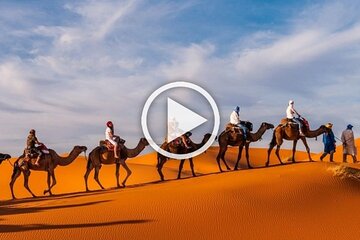  1 Night Camel Trekking in Merzouga