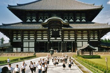 Full Day Kyoto and Nara Guided Tour