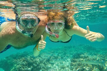 Maui Beach Shoreline Snorkel